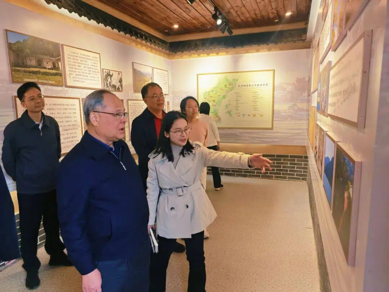 1764554747898027355.jpg 2.1.jpg